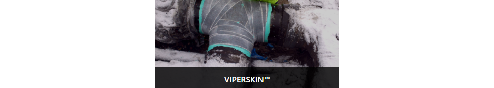ViperSkin